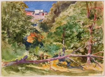 Rustykalny krajobraz